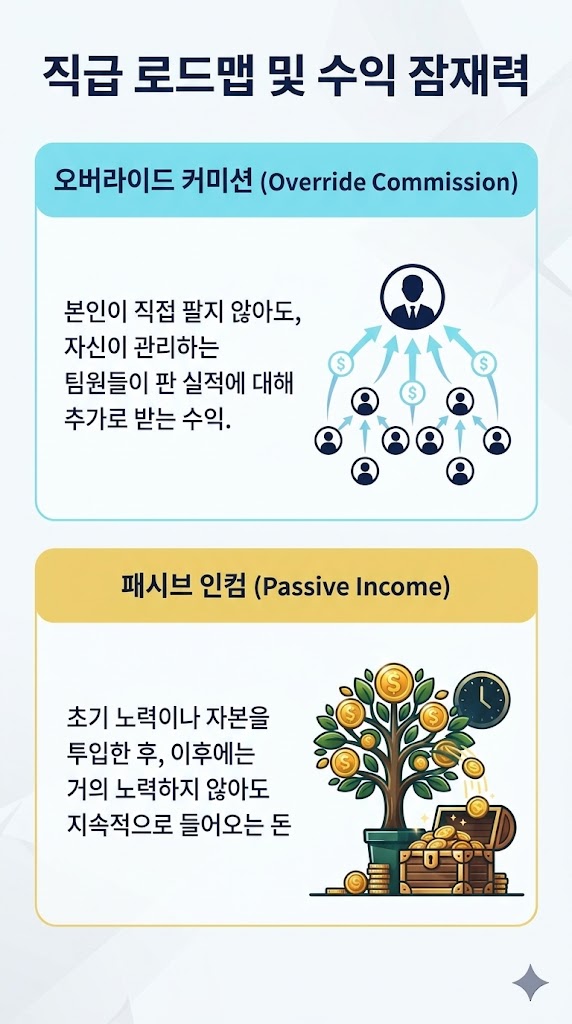 직급 로드맵 및 수익 잠재력